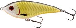 Zdjęcie Westin Przynęta Jerk Swim 10cm Suspending Official Roach - Pruszków