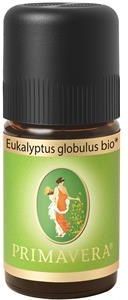 Primavera Ekologiczne Olejki Eteryczne Organiczny Eukaliptus Gałkowy 5 Ml