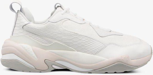 puma thunder desert cena