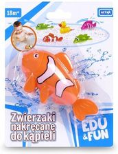 Zdjęcie Artyk Zwierzaki Nakręcane Do Kąpieli Edu&Fun Ryba Pomarańczowa  - Kańczuga