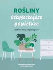 Zdjęcie Rośliny oczyszczające powietrze - Płock
