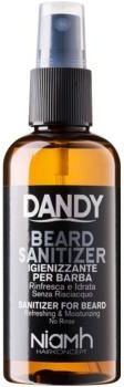 DANDY Beard Sanitizer dezynfekujący spray do ochrony brody 100ml