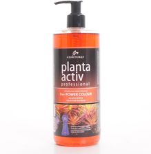 Zdjęcie Aquabotanique Power Colour Fe+ 200Ml - Sosnowiec