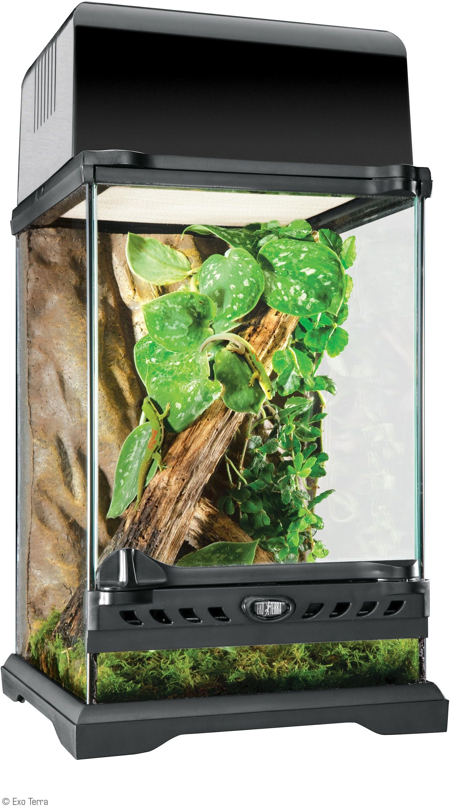 Exo Terra Terrarium Szklane Nano Tall 20x20x30Cm Ceny i opinie Ceneo.pl