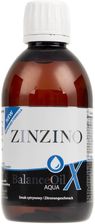 Preparat medycyny naturalnej Zinzino BalanceOil AquaX o smaku cytrynowym  300ml - Opinie i ceny na Ceneo.pl