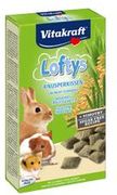 Zdjęcie Vitakraft Lofty Przysmak Dla Gryzoni I Królików 100g - Wadowice