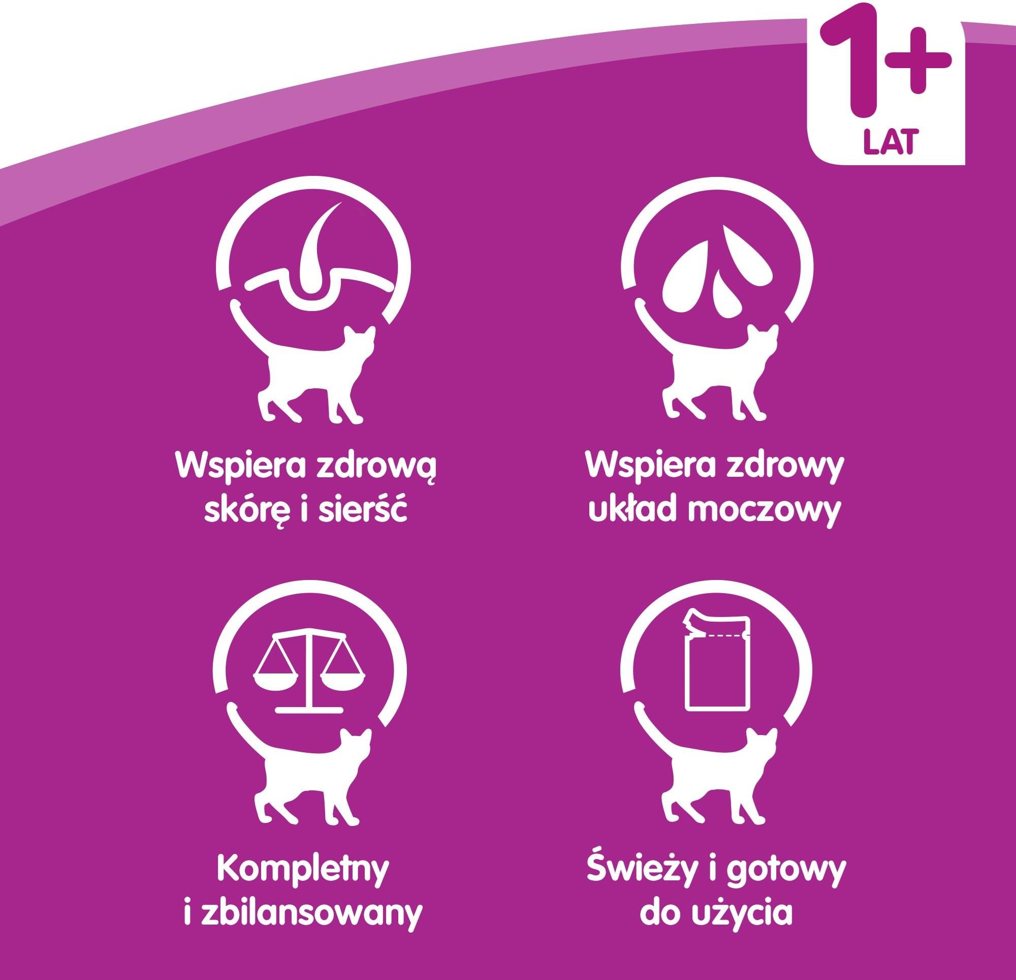Whiskas Adult Smaki Rybne I Tradycyjne Saszetki 40X100G - zdjęcie 1 Whiskas Adult Smaki Rybne I Tradycyjne Saszetki 40X100G