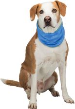 Zdjęcie Trixie Bandamka Chłodząca Pva S 20–30cm - Rybnik