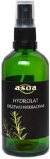 Zdjęcie ASOA Hydrolat z Drzewa Herbacianego 100ml - Tomaszów Lubelski