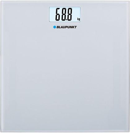Blaupunkt BSP301