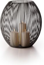 Zdjęcie Philippi Latarenka Luisiana Xxl (P153010) - Czempiń