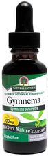 Zdjęcie Nature's Answer Gymnema ekstrakt z liści Gymnema 30ml - Sępopol
