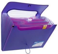 Zdjęcie Teczka z gumką Pp A4/25mm/12przegr Pukka Fio Fol - Żukowo