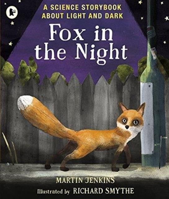 Fox in the Night: A Science Storybook About Light and Dark - Literatura ...