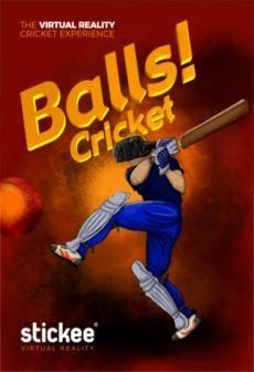 Balls! Virtual Reality Cricket (Digital)