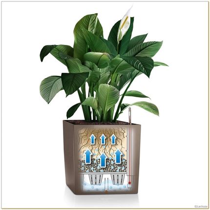 Lechuza Donica Cube 50 Czarny - zdjęcie 4