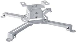 Zdjęcie Suprema Spider Small 10 Biały - Skarszewy