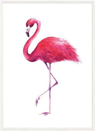 Obraz Flaming Różowy 50X70 Cm
