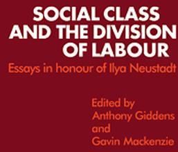 Division essay expert labor