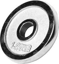 Zdjęcie Gorilla Sports Chromowane Obciążenie 1,25kg - Serock