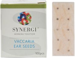 Synergi Ziarno Vaccaria Na Plastrze 100 Szt X12