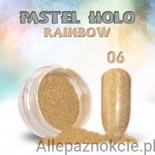 6 PASTEL HOLO RAINBOW pyłek do zdobienia paznokci 0,5G