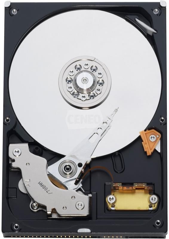 Dysk twardy WD CAVIAR 250GB 7200rpm ATA/100 8MB Wewnętrzny (WD2500AVJB