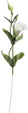 Dekoria Kwiat Eustomy 48Cm 14X8X48Cm (811347) - Sztuczne kwiaty
