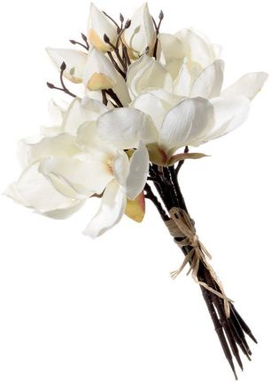 Dekoria Bukiet Magnolii Cream 32Cm 20 × 20 × 32 Cm (811345)