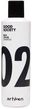 Artego Good Society Rich Color Shampoo 02 szampon do włosów farbowanych 250ml