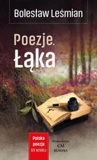 Zdjęcie Polska poezja XXw Poezje Łąka Leśmian - Namysłów