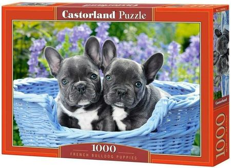 Castorland Puzzle 1000El. French Bulldog Puppies