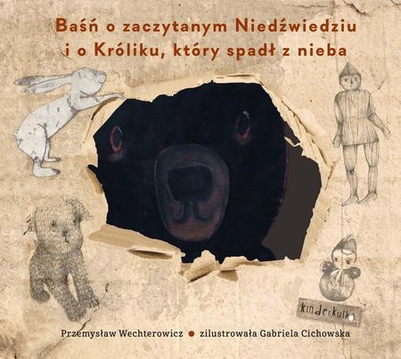 Baśń O Zaczytanym Niedźwiedziu I O Króliku Który Spadł Z Nieba - Przemysław Wechterowicz, Gabriela Cichowska