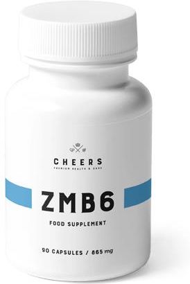 Cheers ZMB6 - MAGNEZ CYNK B6 