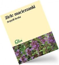 Zdjęcie Flos MACIERZANKA ziele Serpylli herba 50g - Tarnowskie Góry