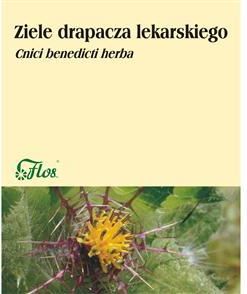 Flos: Drapacz lekarski ziele (cnici benedicti herba) - 50g