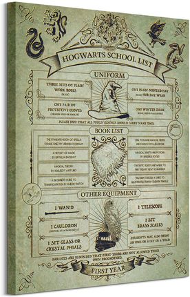 Harry Potter Hogwarts School List - obraz na płótnie 60x80 cm WDC100003