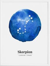 Zdjęcie Follygraph Plakat Zodiak Skorpion 70x100cm (FBZSCOPL70100) - Pobiedziska