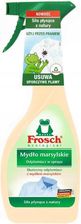 Frosch Mydło Marsylskie Odplamiacz W Sprayu 500 Ml - Odplamiacze