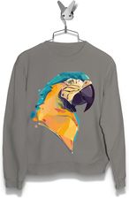adidas bluza papuga adidas bluza papuga