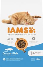 IAMS Advanced Nutrition – sucha karma dla kotów powyżej 1 roku życia z rybami oceanicznymi 10kg