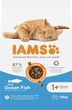 IAMS ProActive Health Adult with Fish &amp; Chicken 10 kg - sucha akrma dla kotów z rybami