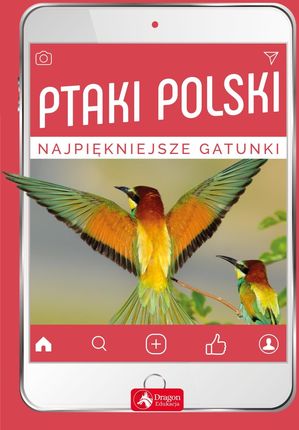 Ptaki Polski Najpiękniejsze Gatunki - Anna Przybyłowicz, Łukasz  Przybyłowicz