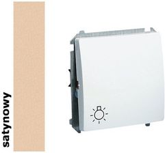 Simon Wyłącznik ścienny Basic światło (moduł), BMS1.01/29 satynowy