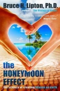 The Honeymoon Effect: The Science of Creating Heaven on Earth (Lipton Bruce H.)(Paperback)