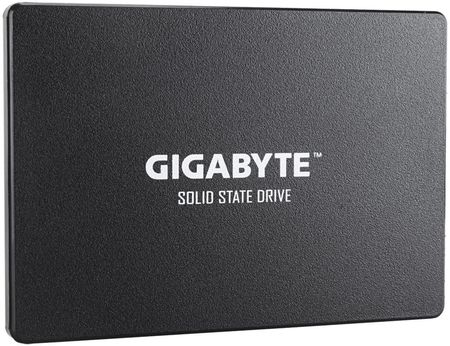 Gigabyte SSD 256GB 2,5'' SATA (GPGSTFS31256GTND)