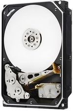 Dysk Serwerowy WD Ultrastar DC HC510 10TB SAS 3 5 7200 Rpm HUH721010AL4204 0F27404 Opinie