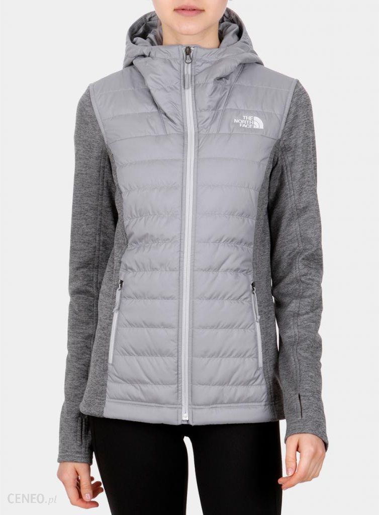 the north face mashup hoodie