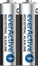 Zdjęcie everActive Baterie alkaliczne Pro LR6/AA 10szt (EV73) - Kłobuck