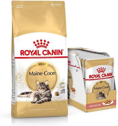 Royal Canin Multipack Maine Coon Adult 10kg + Maine Coon w sosie 12x85g